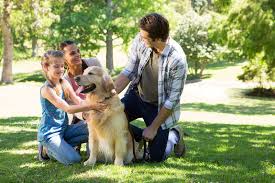 What to Do When Your Pet Panics: A Guide to Calming Anxiety in Stressful Situations